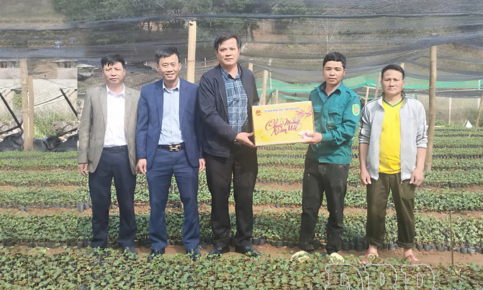 Ph&oacute; Chủ tịch UBND tỉnh L&ograve; Văn Cương kiểm tra vườn ươm c&acirc;y c&agrave; ph&ecirc; tại x&atilde; Mường Lu&acirc;n