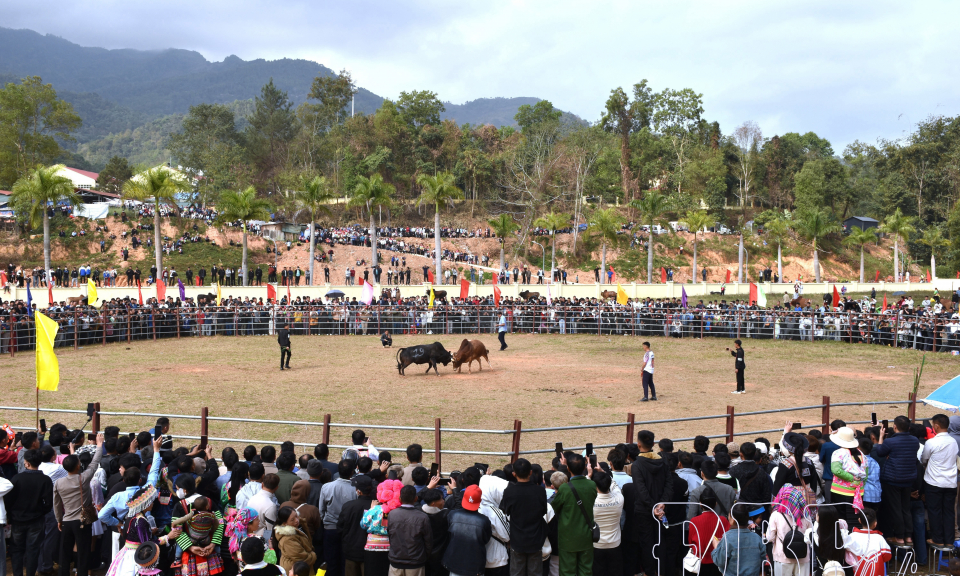 Na Son rộn r&agrave;ng Hội xu&acirc;n B&iacute;nh Ngọ