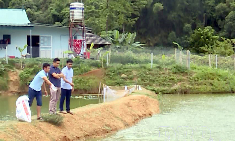 Đ&oacute;n tết trong niềm vui tho&aacute;t ngh&egrave;o