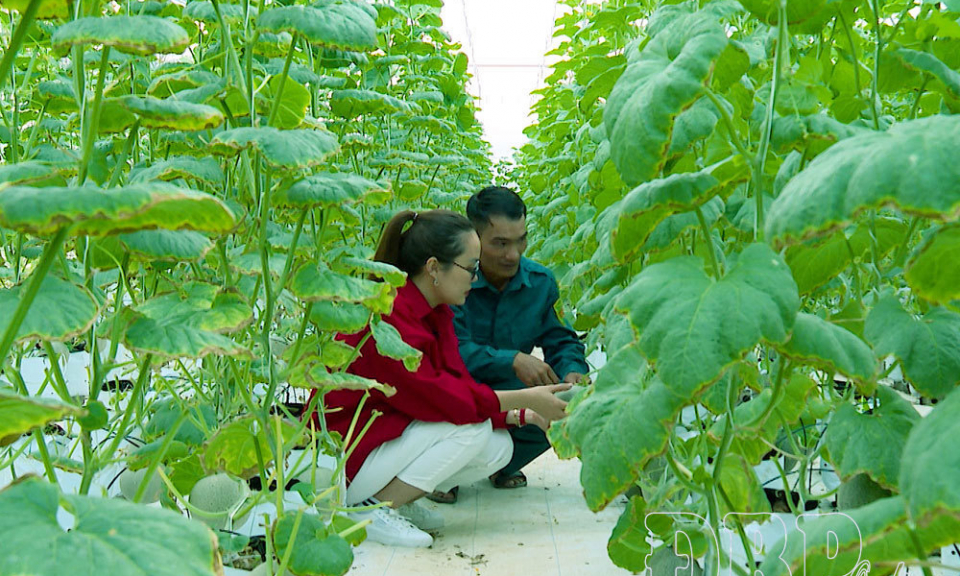  Bắt nhịp kinh tế số