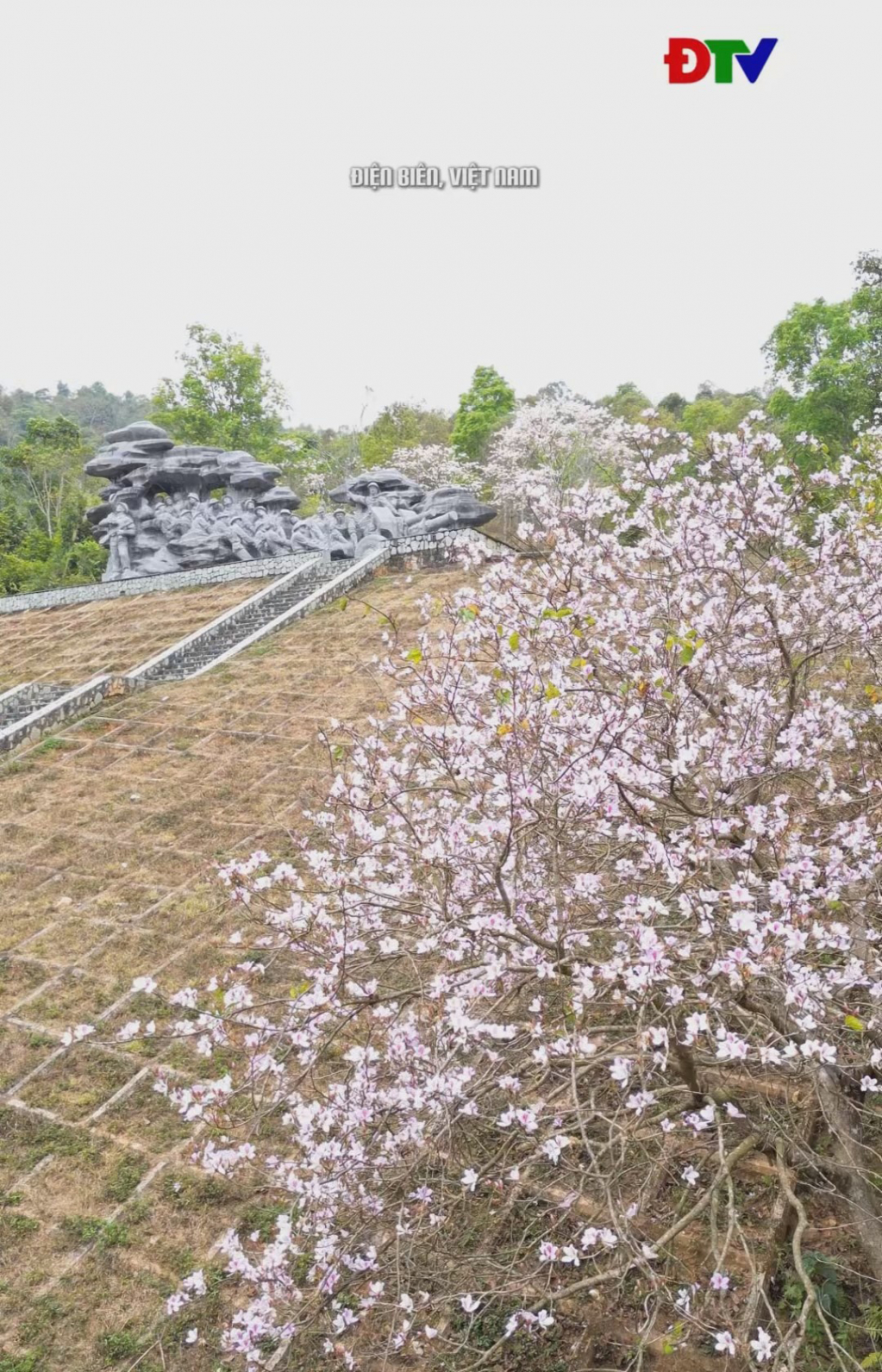 Lưu giữ khoảnh khắc m&ugrave;a hoa ban