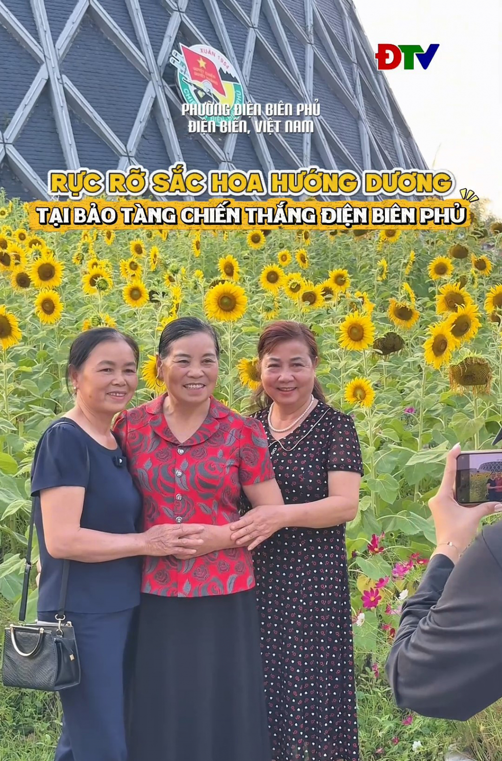 Rực rỡ sắc hoa hướng dương tại Bảo t&agrave;ng Chiến thắng Điện Bi&ecirc;n Phủ