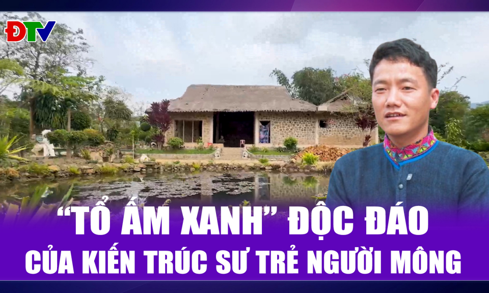 "Tổ ấm xanh" độc đ&aacute;o của kiến tr&uacute;c sư trẻ người M&ocirc;ng