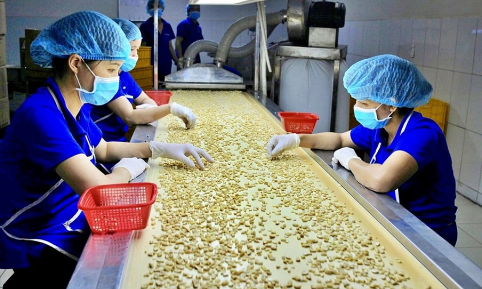 N&ocirc;ng sản Việt t&aacute;i cấu tr&uacute;c để khẳng định vị thế