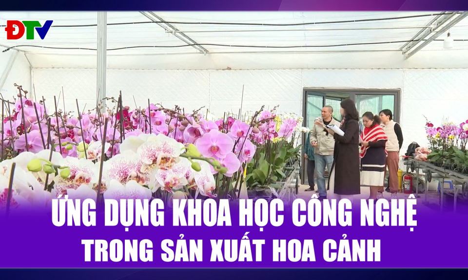 Ứng dụng khoa học c&ocirc;ng nghệ trong sản xuất hoa cảnh