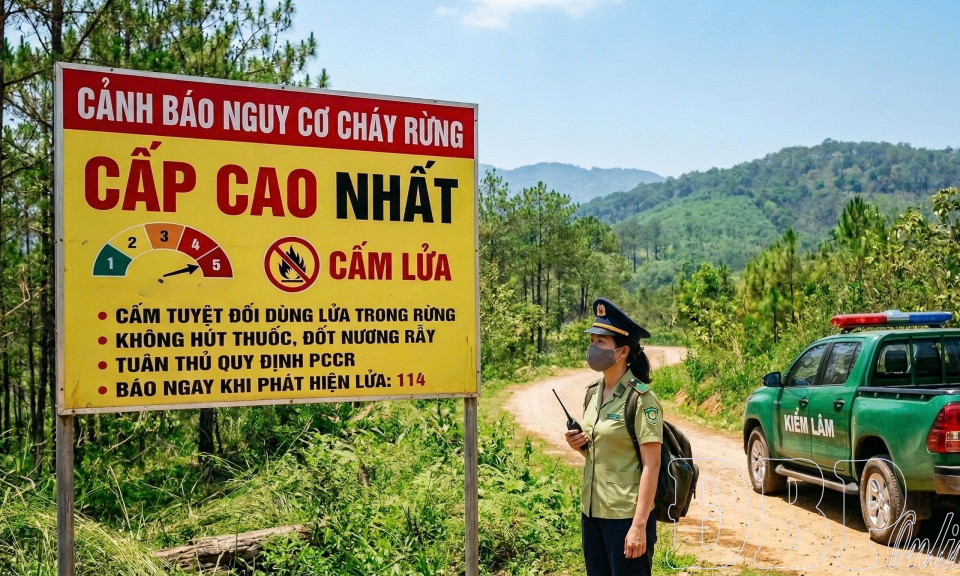 Cảnh b&aacute;o nguy cơ ch&aacute;y rừng cấp cao nhất