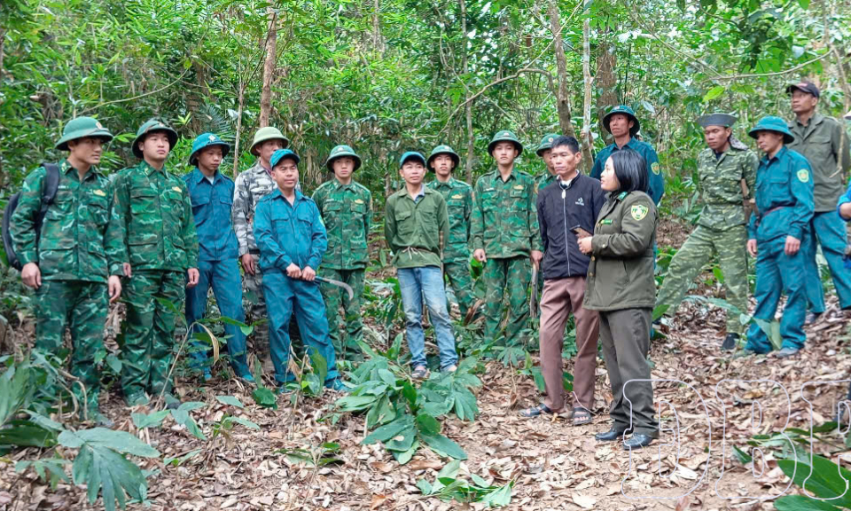 6.626 chủ rừng nhận tiền dịch vụ m&ocirc;i trường rừng qua t&agrave;i khoản ng&acirc;n h&agrave;ng 