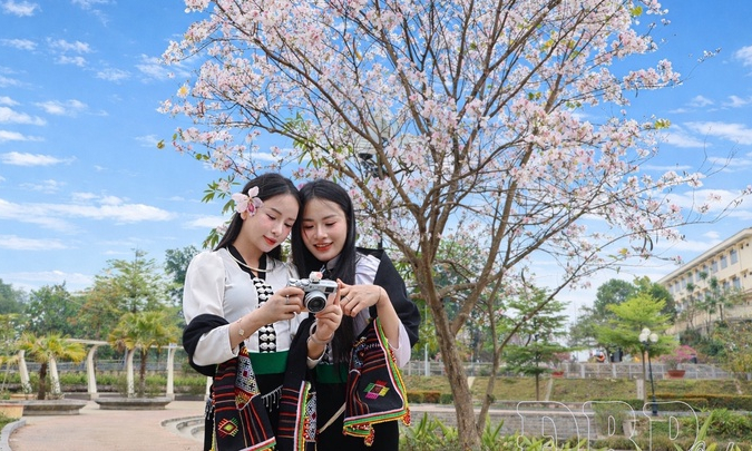 Điện Bi&ecirc;n: Final countdown to Ban (Bauhinia) Flower Festival