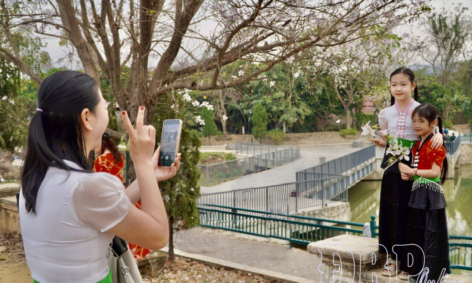 Quảng b&aacute; du lịch từ Lễ hội Hoa Ban