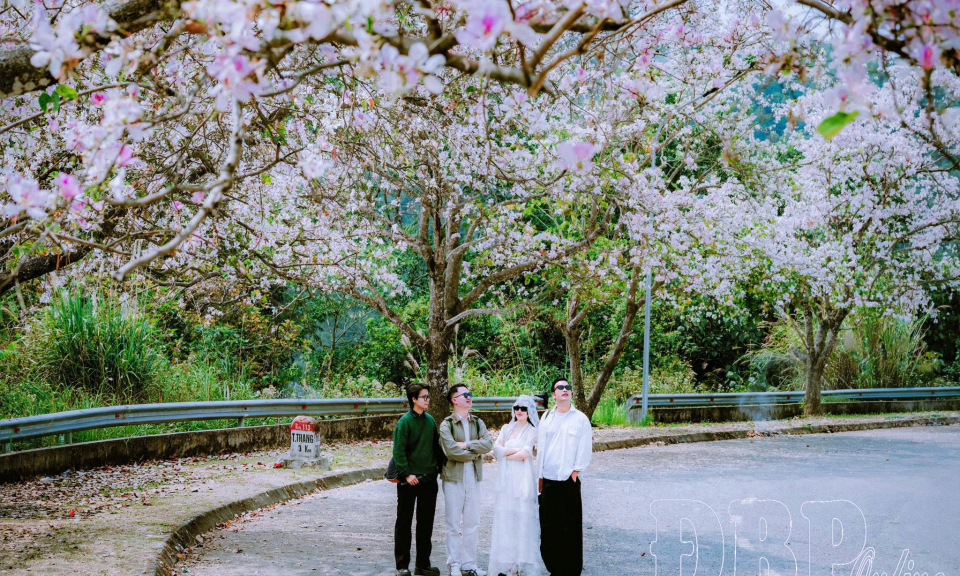 Để hoa ban nở trong k&yacute; ức du kh&aacute;ch