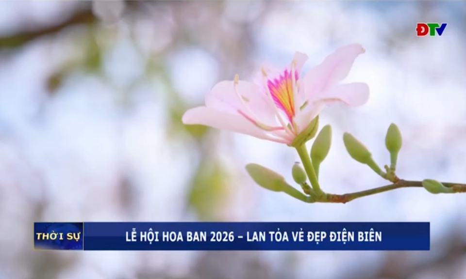 Lễ hội Hoa Ban 2026 &ndash; Lan tỏa vẻ đẹp Điện Bi&ecirc;n