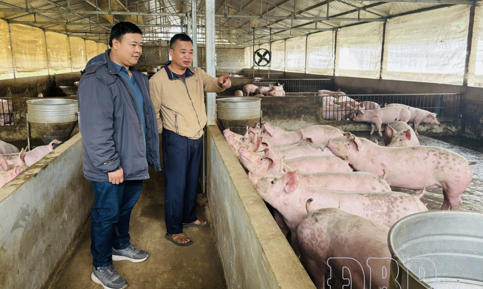 Lan tỏa tinh thần &ldquo;3 d&aacute;m&rdquo; trong học v&agrave; l&agrave;m theo B&aacute;c 