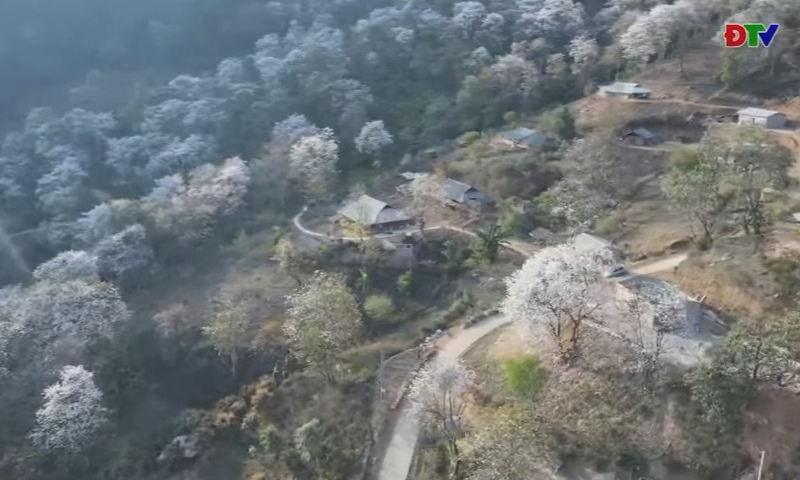 Về Điện Bi&ecirc;n m&ugrave;a ban nở 