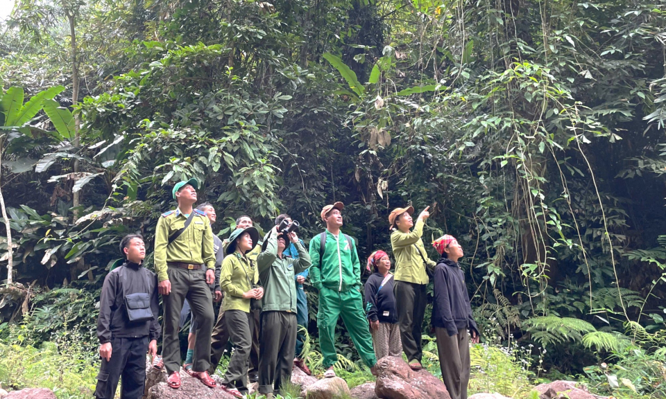 Ph&aacute;t huy vai tr&ograve; của ch&iacute;nh quyền cơ sở trong quản l&yacute; bảo vệ rừng