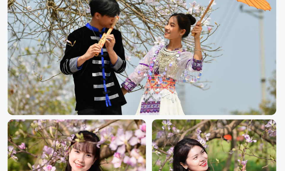 C&uacute; h&iacute;ch quảng b&aacute; du lịch Điện Bi&ecirc;n