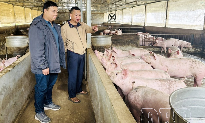 Spreading &ldquo;Three dares&rdquo; spirit in following President Hồ Ch&iacute; Minh&rsquo;s examples