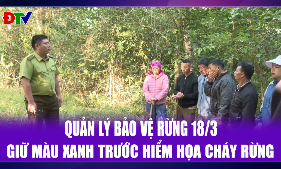 Giữ m&agrave;u xanh trước hiểm họa ch&aacute;y rừng