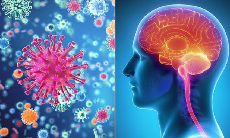 Từ vụ b&eacute; g&aacute;i tử vong do vi&ecirc;m n&atilde;o m&ocirc; cầu, tăng cường ph&ograve;ng bệnh bằng vaccine