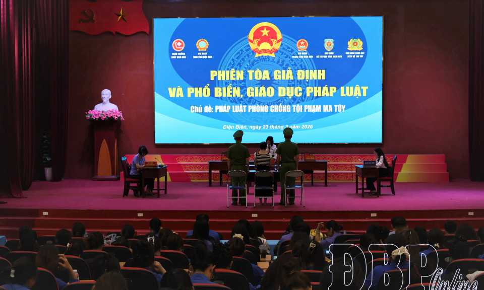 Phi&ecirc;n t&ograve;a giả định v&agrave; phổ biến, gi&aacute;o dục ph&aacute;p luật