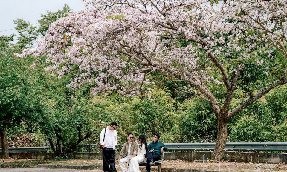 Khi du lịch được kể bằng cảm x&uacute;c số