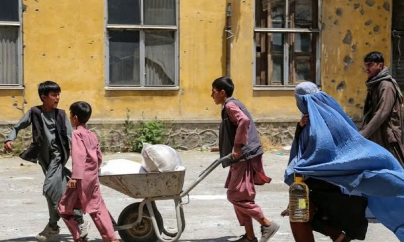 Nguy cơ khủng hoảng lương thực do Tr&aacute;i đất n&oacute;ng l&ecirc;n