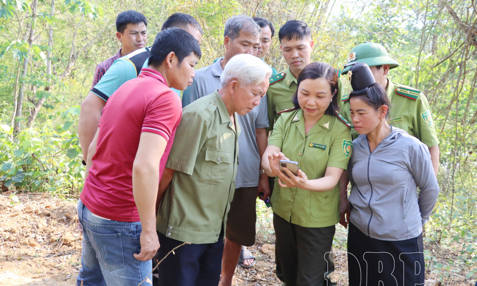 Ngăn chặn t&igrave;nh trạng trồng c&agrave; ph&ecirc; tr&ecirc;n đất l&acirc;m nghiệp