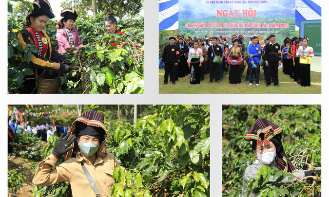 &ldquo;Brown gold&rdquo; awakens in frontier