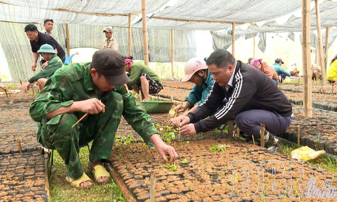 Coffee cultivation brings new hope in Mường M&ugrave;n