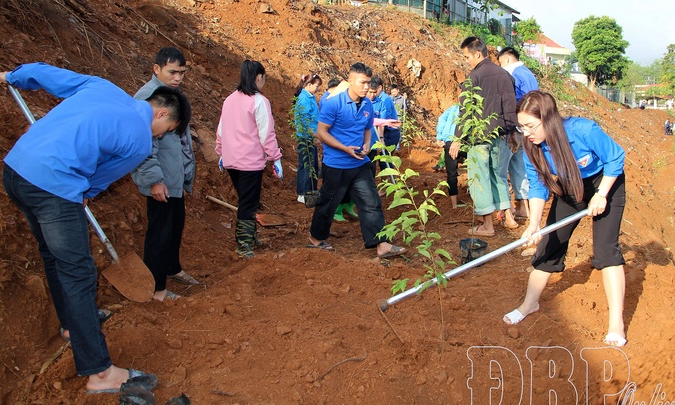 Youths drive rural transformation through innovation and action