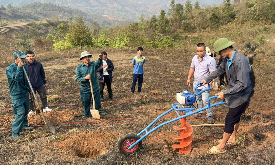 Nậm K&egrave; ra qu&acirc;n đ&agrave;o hố trồng c&agrave; ph&ecirc;