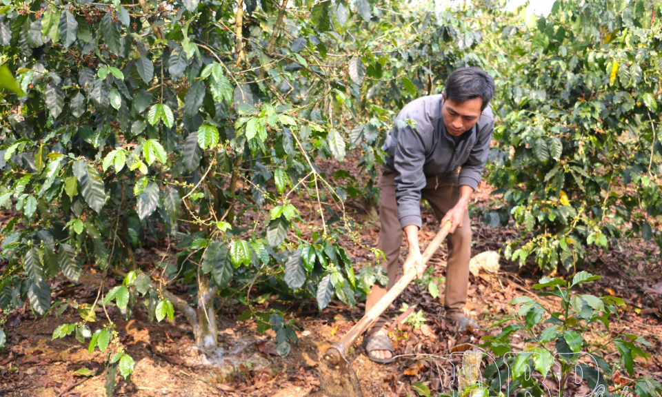 Đưa Nghị quyết Đại hội Đảng v&agrave;o cuộc sống