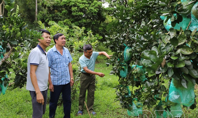 Thanh Nưa strives to reach new-style rural standards