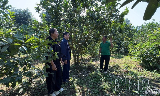 From policy capital to sustainable livelihoods