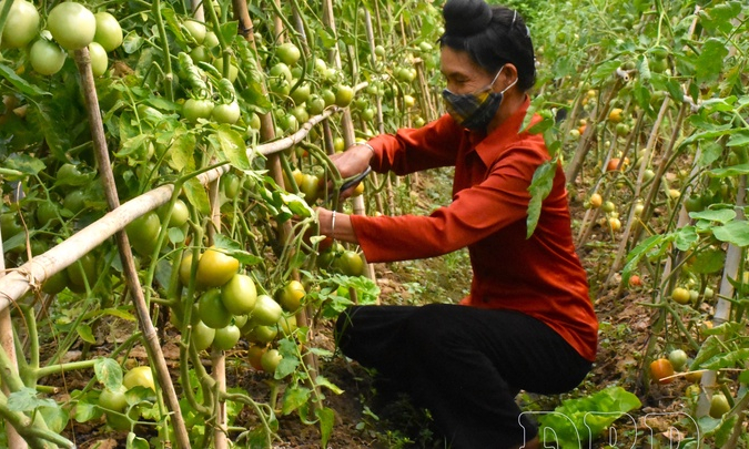 Mobilizing deposits to empower social policy credit