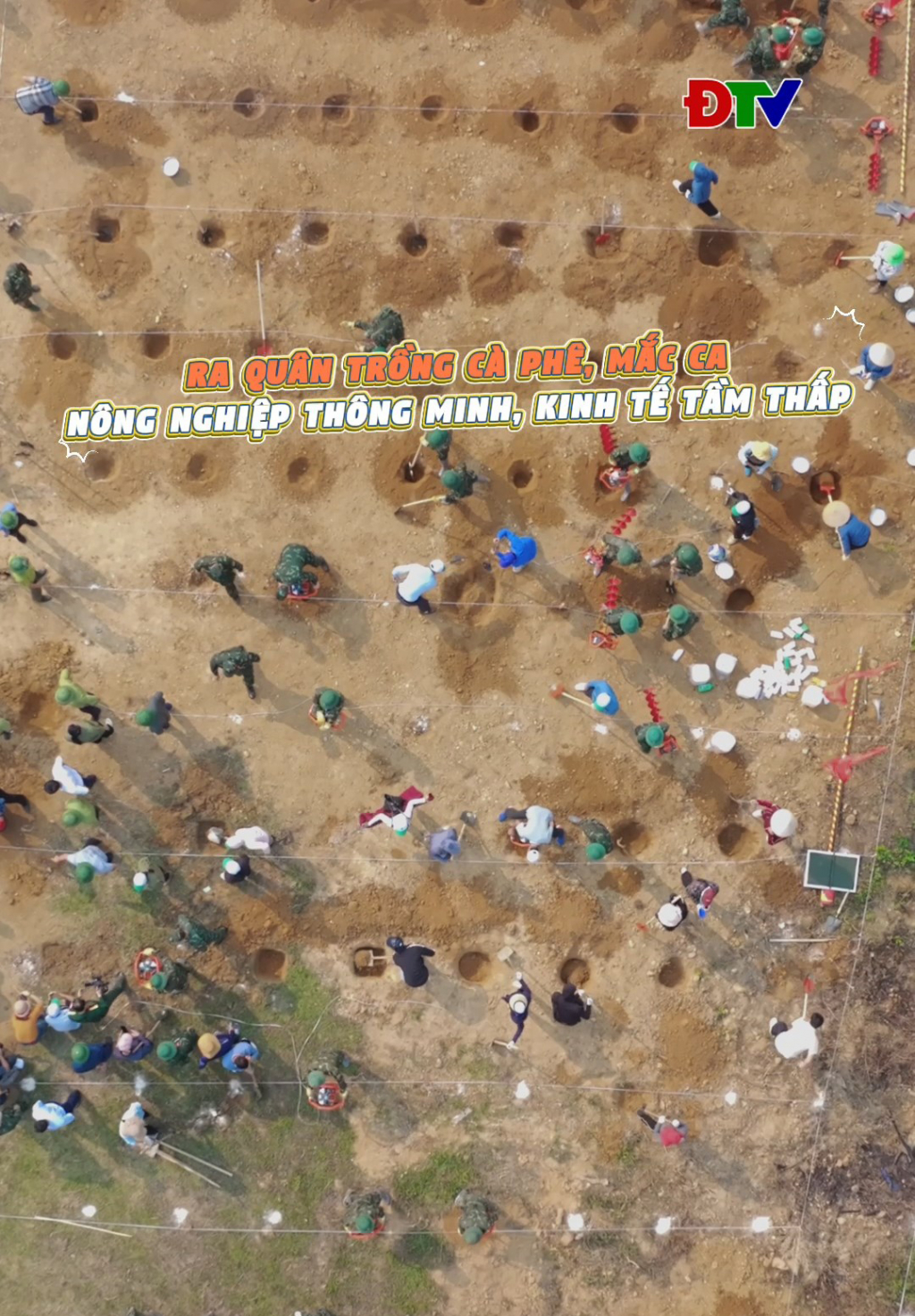 Ra qu&acirc;n trồng c&agrave; ph&ecirc;, mắc ca, n&ocirc;ng nghiệp th&ocirc;ng minh, kinh tế tầm thấp