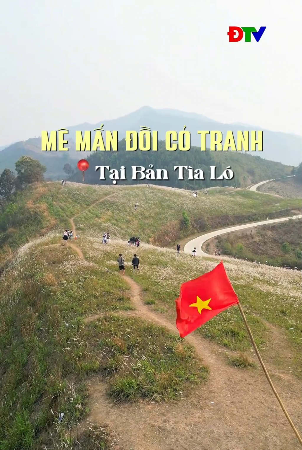 M&ecirc; mẩn đồi cỏ tranh tại bản T&igrave;a L&oacute;