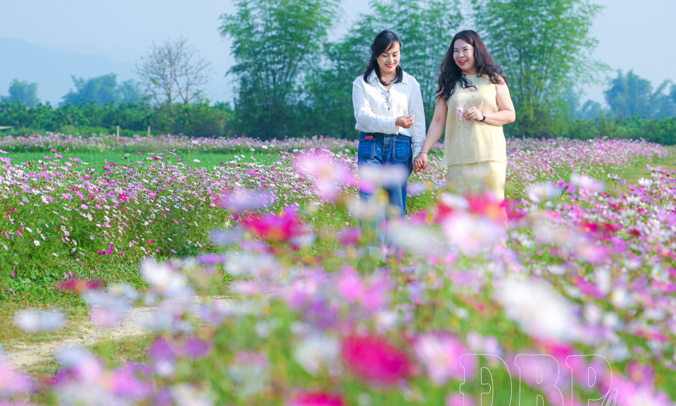 Đường hoa lung linh giữa đồng qu&ecirc; Thanh Nưa