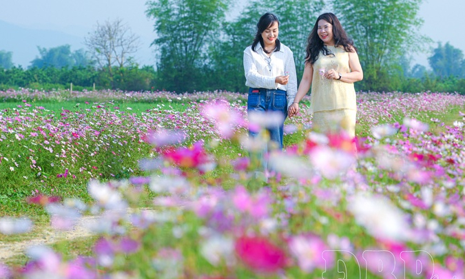 Beautiful flower road amidst Thanh Nưa countryside