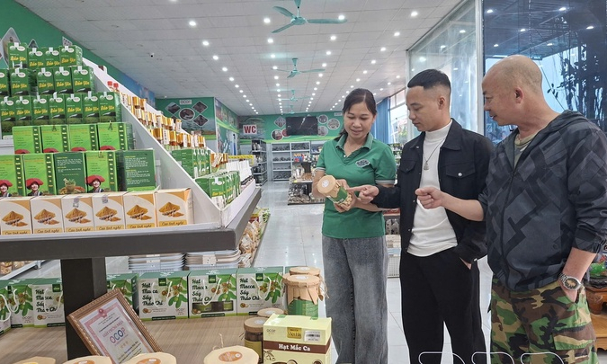 One Commune One Product program: How to elevate quality?