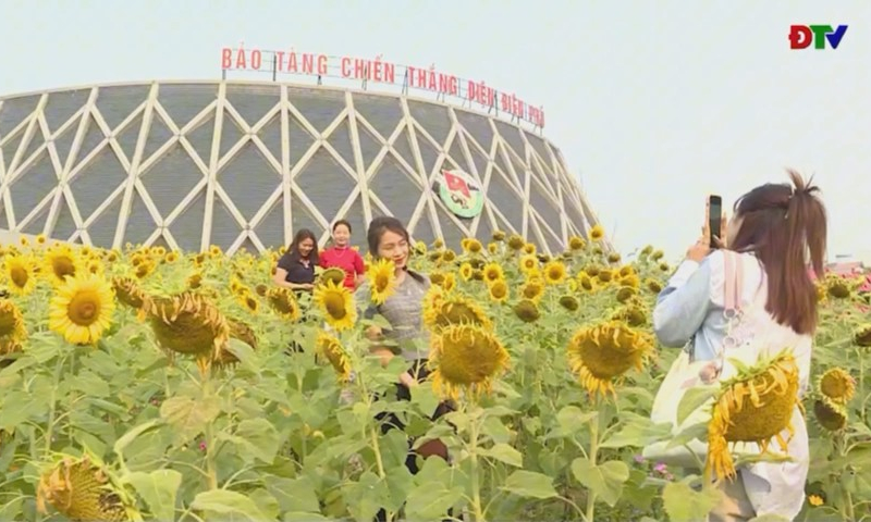 Rực rỡ sắc hoa Điện Bi&ecirc;n