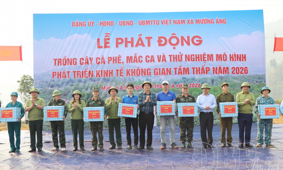 Điện Bi&ecirc;n đồng loạt ra qu&acirc;n đ&agrave;o hố trồng c&acirc;y c&agrave; ph&ecirc;, mắc ca 