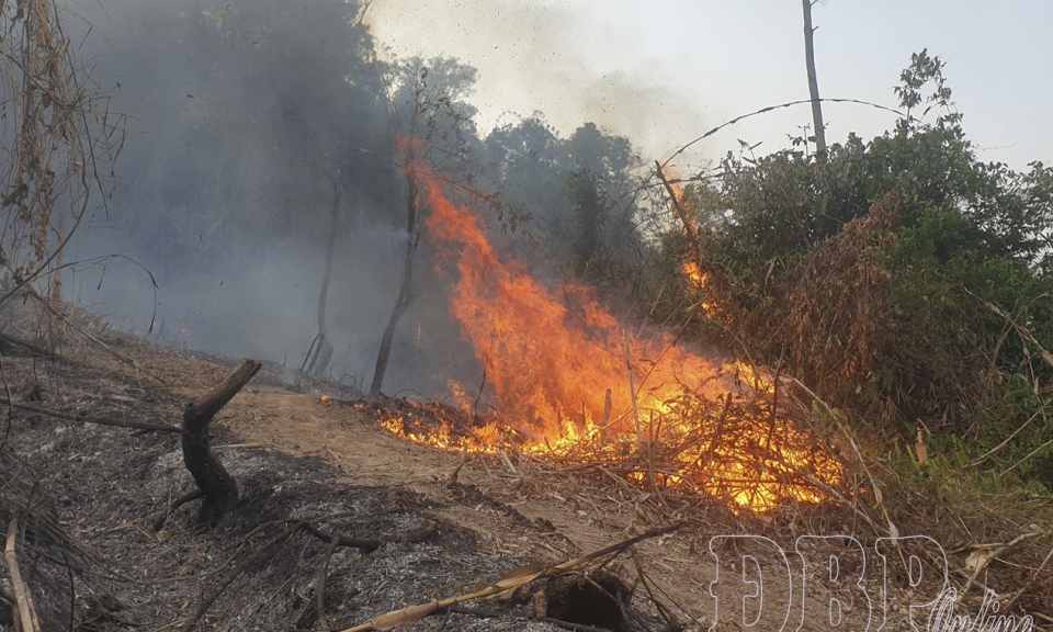 Ch&aacute;y rừng tại x&atilde; Na Sang, 4 người bị thương