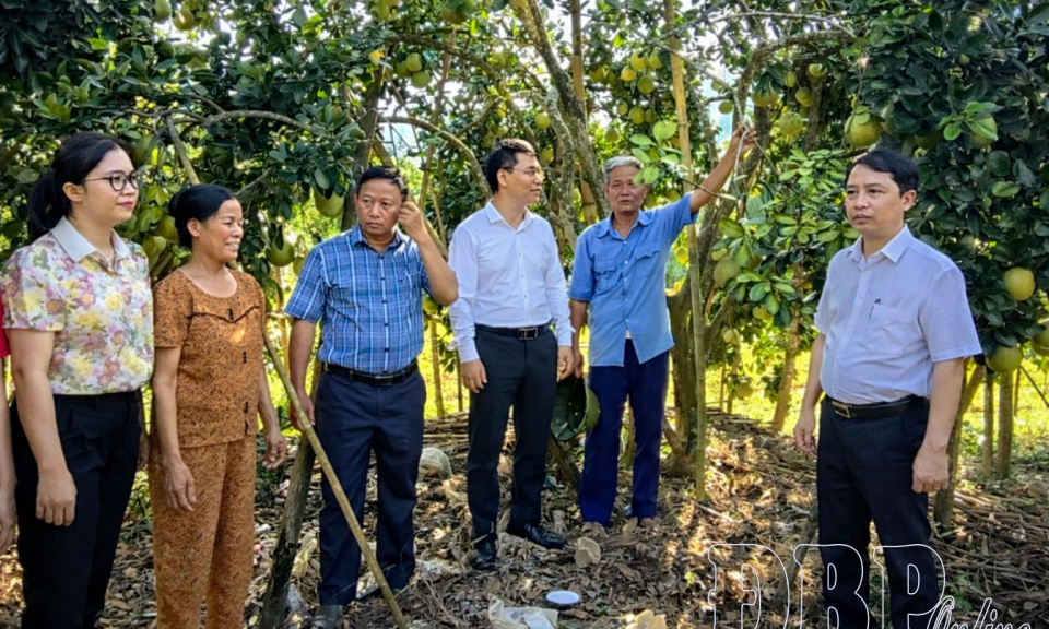 Lắng nghe, giải quyết kịp thời kiến nghị của nh&acirc;n d&acirc;n 
