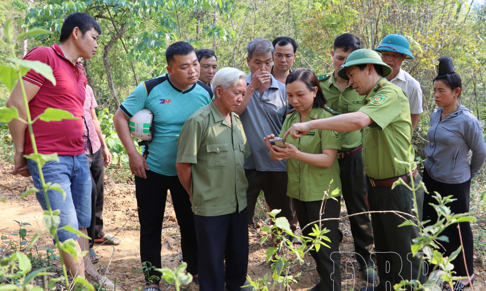 Chủ động ph&ograve;ng ch&aacute;y, chữa ch&aacute;y rừng m&ugrave;a kh&ocirc; hanh