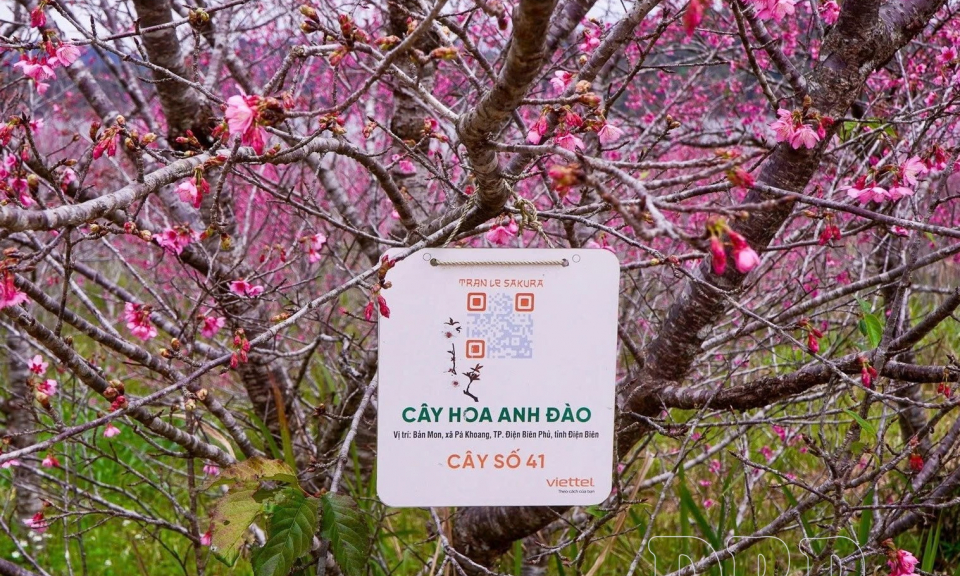 Điện Bi&ecirc;n số h&oacute;a đến từng gốc c&acirc;y trồng