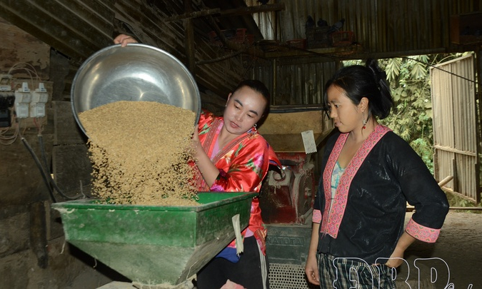 Party Cell Secretaries with &ldquo;3 dares&rdquo; spirit in Điện Bi&ecirc;n