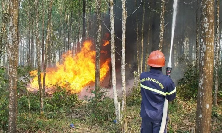 Cảnh b&aacute;o nguy cơ ch&aacute;y rừng cực kỳ nguy hiểm trong th&aacute;ng 4/2026
