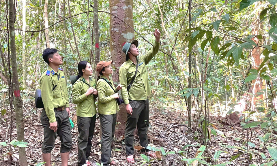 Đốt nương bất cẩn, thiệt hại kh&oacute; lường