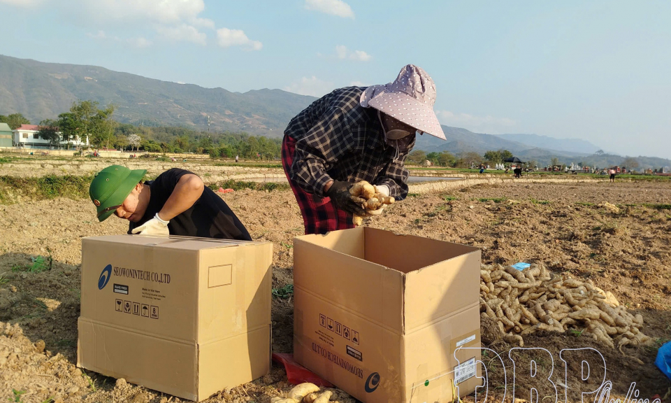 Hiệu quả r&otilde;, nhưng &ldquo;n&uacute;t thắt&rdquo; c&ograve;n đ&oacute;