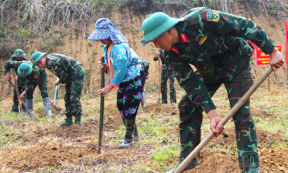 200 c&aacute;n bộ, chiến sĩ Trung đo&agrave;n 82 hỗ trợ trồng mắc ca, c&agrave; ph&ecirc; tại Điện Bi&ecirc;n